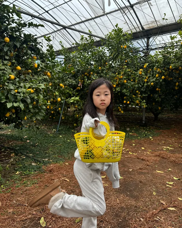 레몬 밭에서 레몬을 수확하고 있는 아이