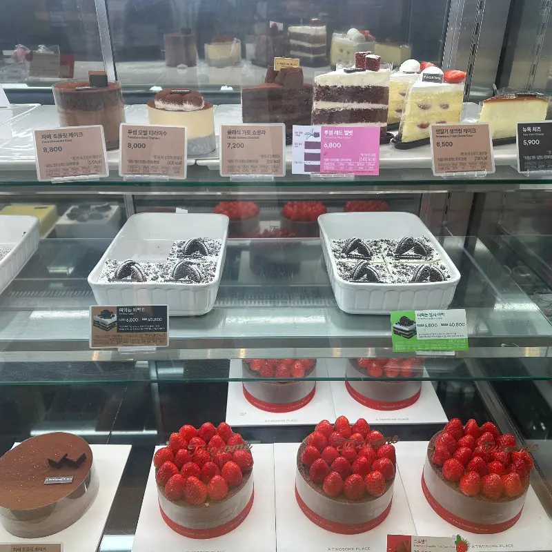 투썸플레이스 쇼케이스 안의 다양한 케이크들