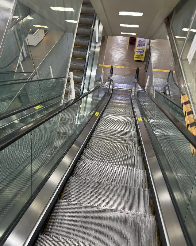 토끼굴 가는 길