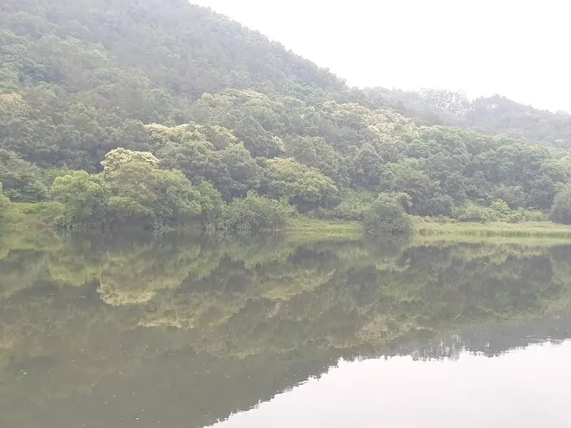 잔잔한 강물에 비친 녹음이 아름다운 풍경
