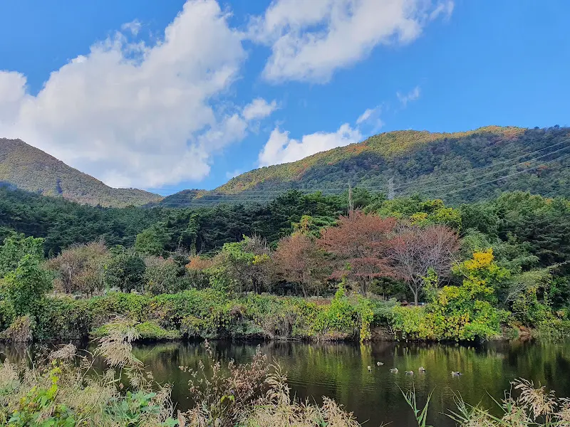 따뜻한 햇살이 내리쬐는 야외 테이블