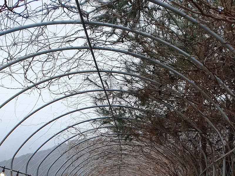 카페 외부 아치형 구조물