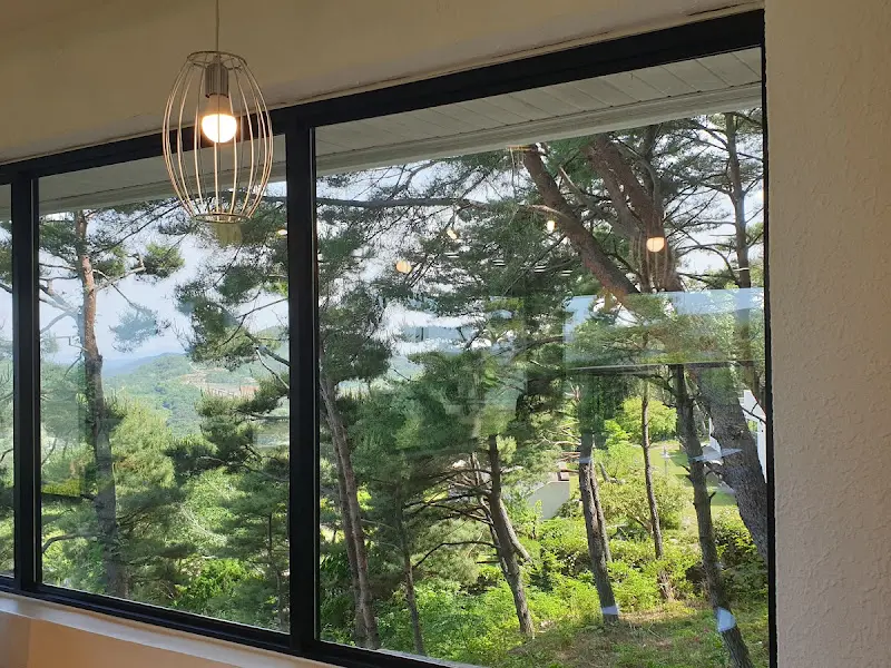 창밖으로 보이는 나무