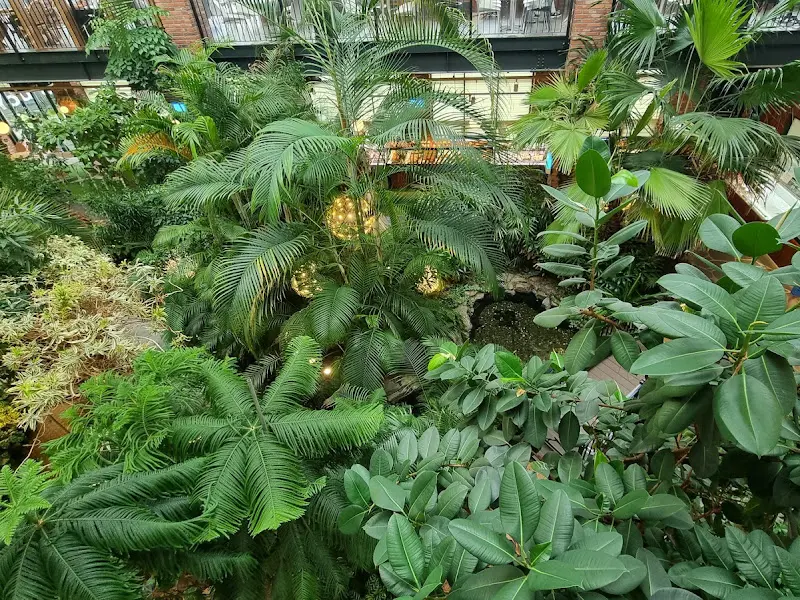 실내에서 즐기는 숲캉스