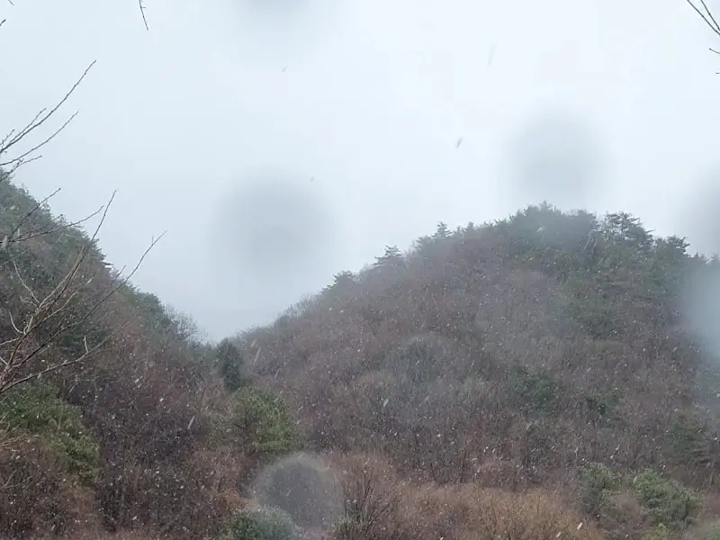 눈 내리는 날의 카페 주변 풍경