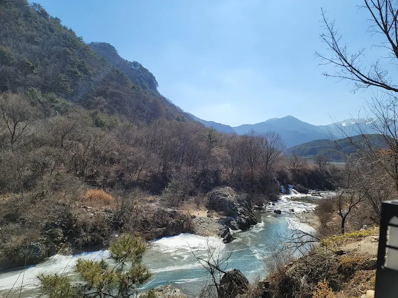 카페에서 바라본 계곡 풍경