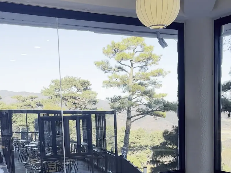 카페에서 보이는 바깥 풍경