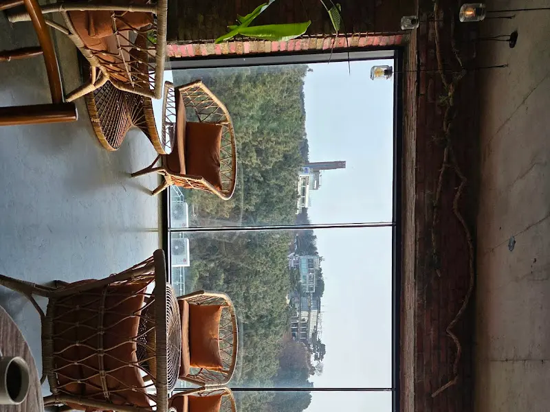 실내 좌석에서 보이는 푸른 나무