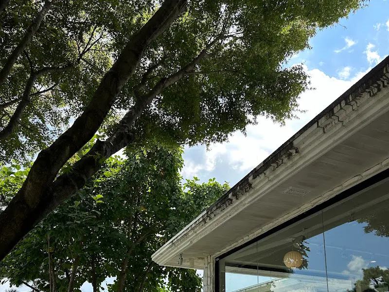 건물 외관과 나무