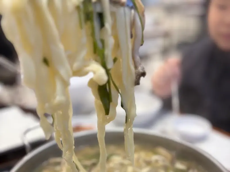 젓가락으로 들어올린 칼국수 면발