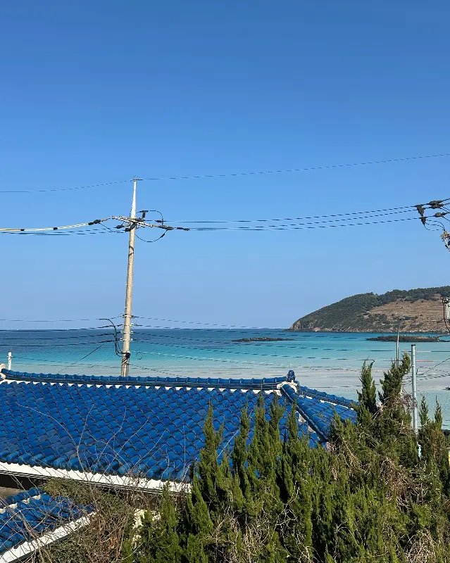 우럭조림 근접샷