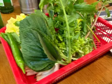 비 오는 날, 금호지구 얇은 고기 향수에 젖는 광주 대패삼겹살 맛집 기행