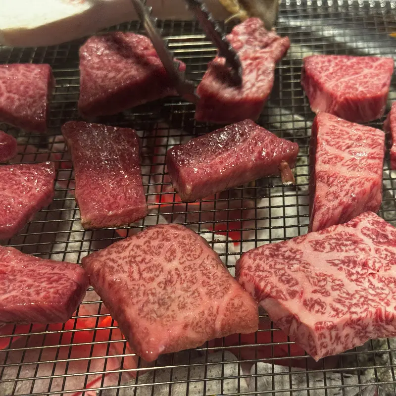 숯불 위에 구워지는 고기