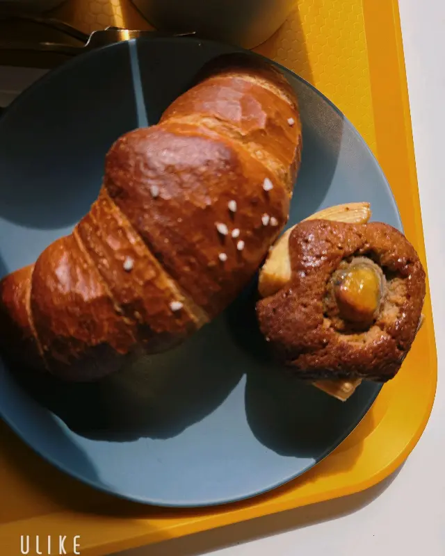 밤파이와 아메리카노