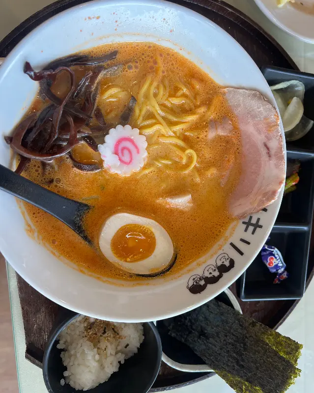 차슈와 반숙란, 김이 올라간 키리라멘의 비주얼