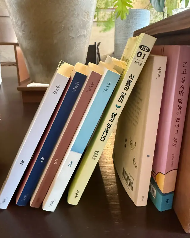 니치니치 카페 책