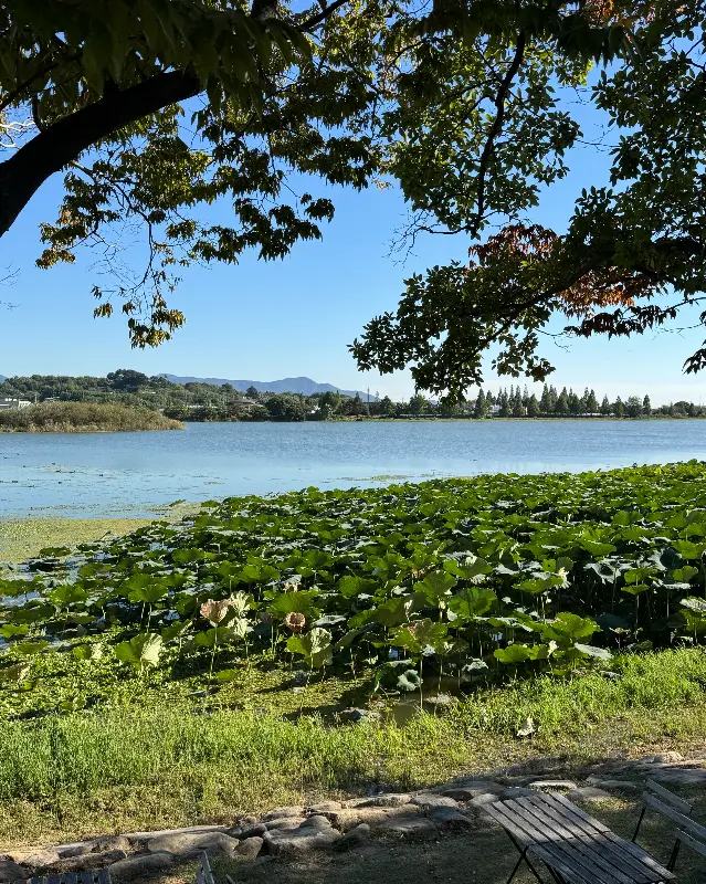 카페 앞에서 바라본 낙동강 풍경