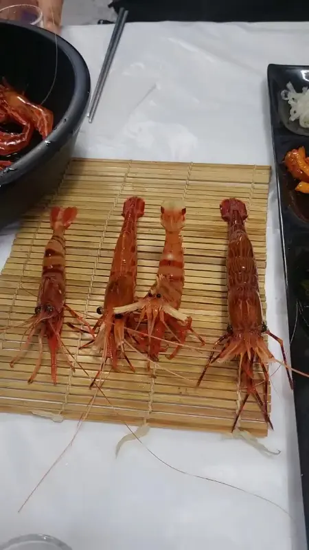 살아있는 독도새우