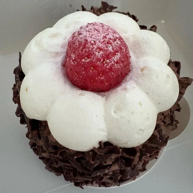 스타벅스 초콜릿 케이크