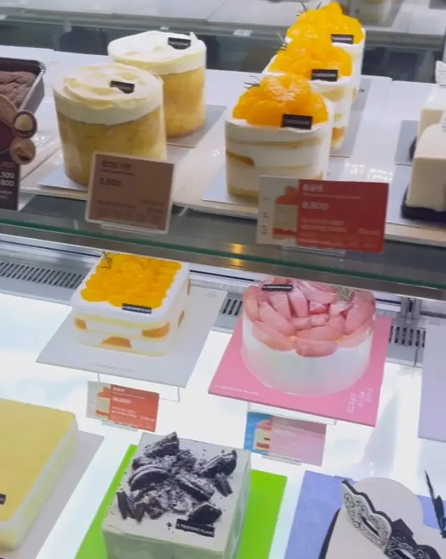 투썸플레이스 쇼케이스 케이크