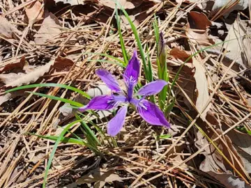 여름 더위 날려버릴 시원한 물막국수 레전드! 가평 숯불구이 맛집 방문기