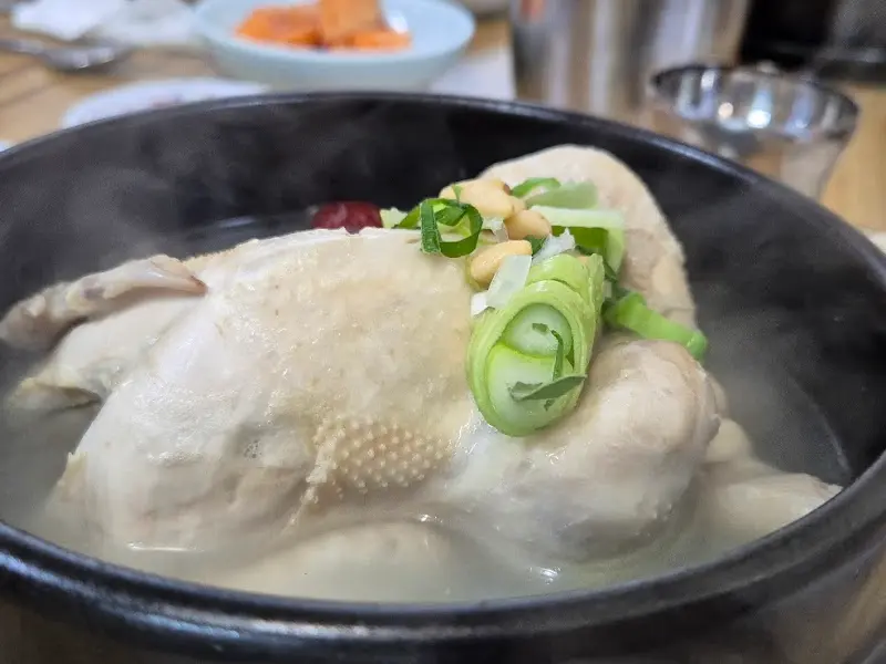 뜨끈한 삼계탕 비주얼