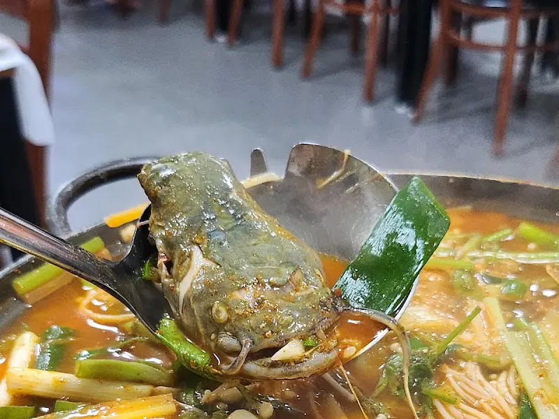 국자로 떠올린 메기 머리