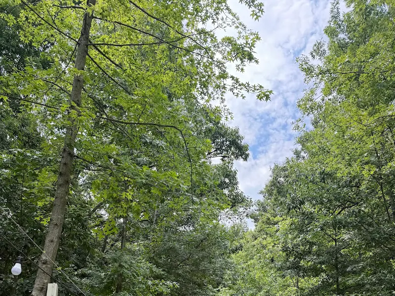 푸른 하늘과 녹음이 우거진 묵방골정원