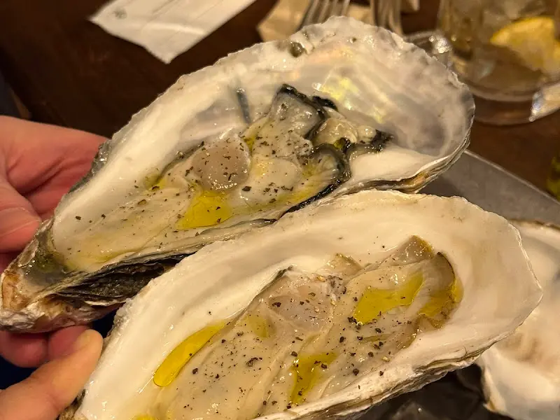 프리미엄 굴 세트