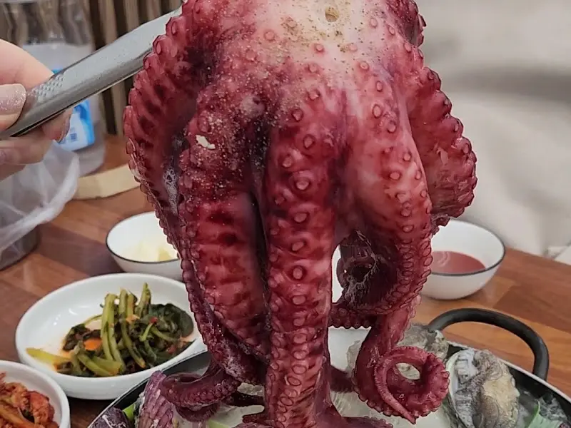 먹기 좋게 잘린 통문어