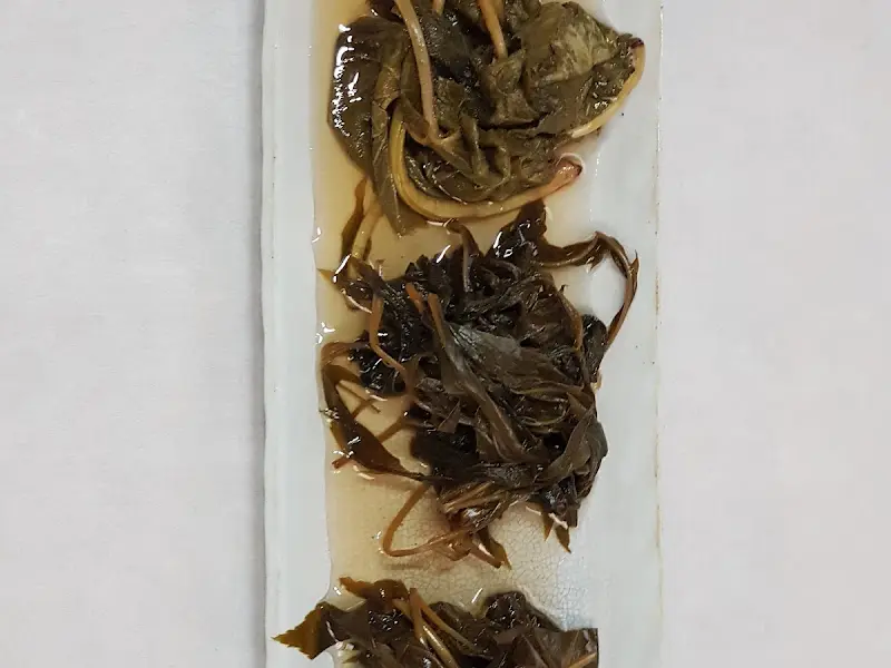 다채로운 나물 반찬