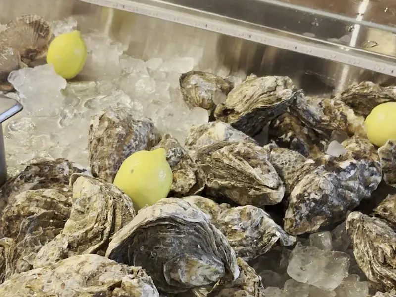 얼음 위에 신선하게 보관된 굴
