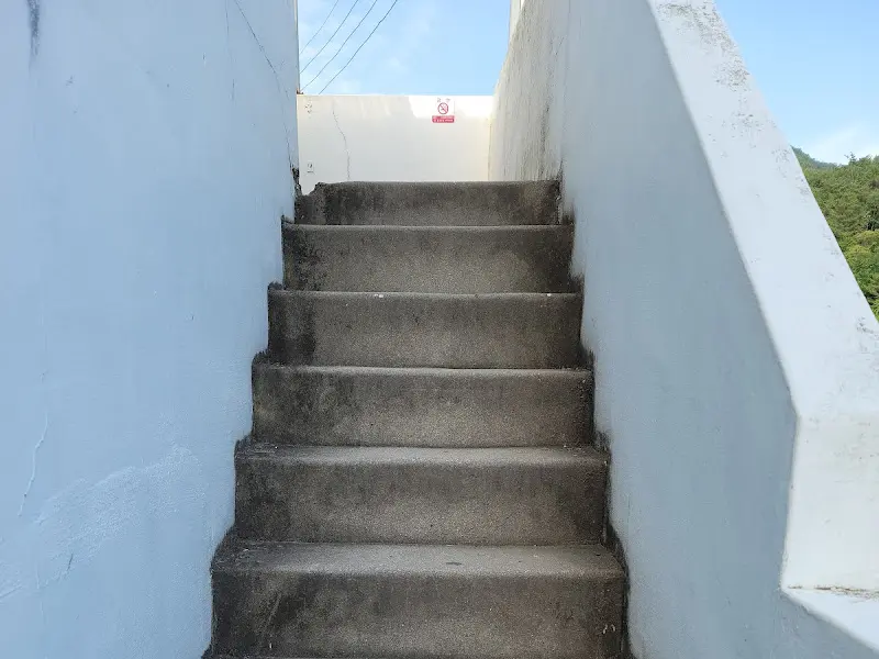 카페로 올라가는 계단