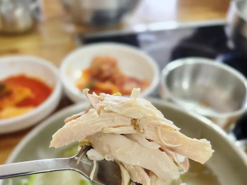 닭고기 클로즈업