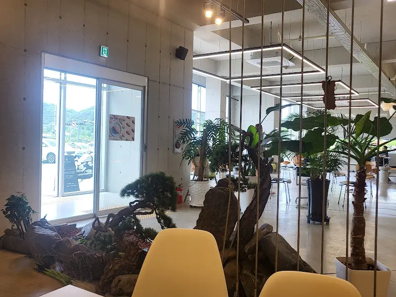 카페 내부 인테리어를 담은 사진. 식물과 돌이 어우러져 자연친화적인 분위기를 연출한다.