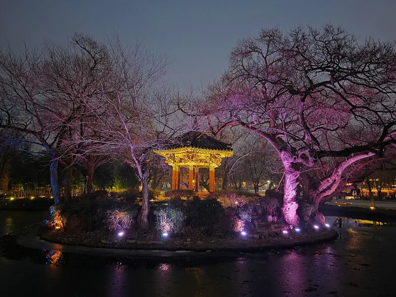 조명이 아름다운 전주한벽문화관의 야경