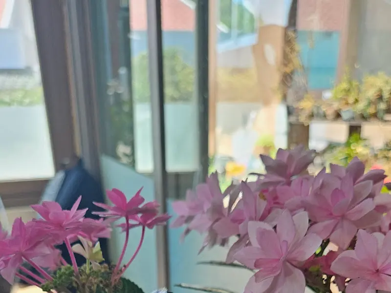 창밖으로 보이는 꽃과 풍경