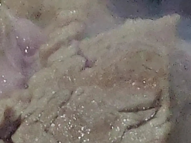 김치찌개 속 돼지고기