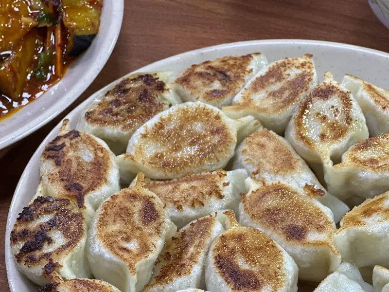 접시 가득 담긴 군만두