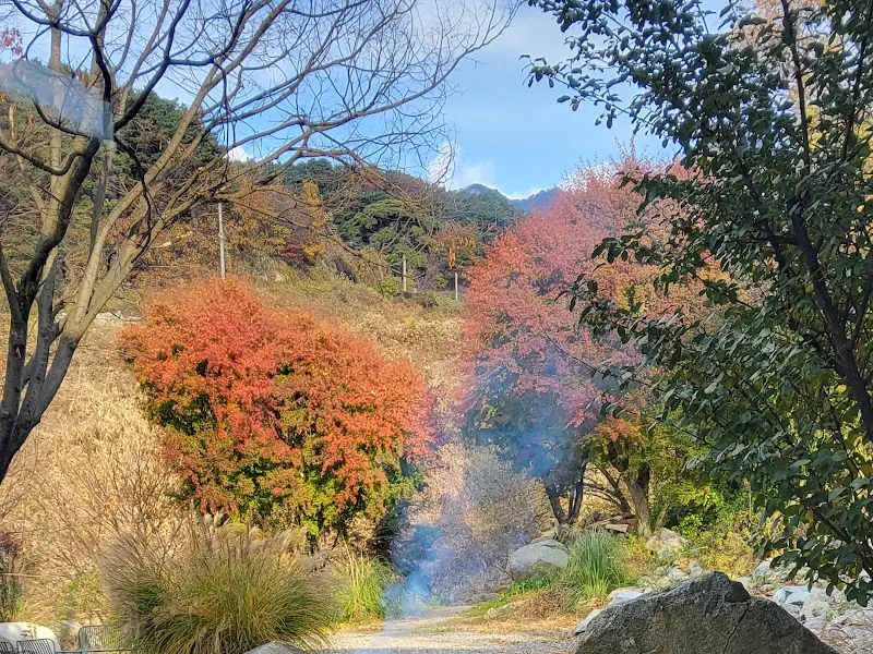 알록달록 단풍으로 물든 비슬산