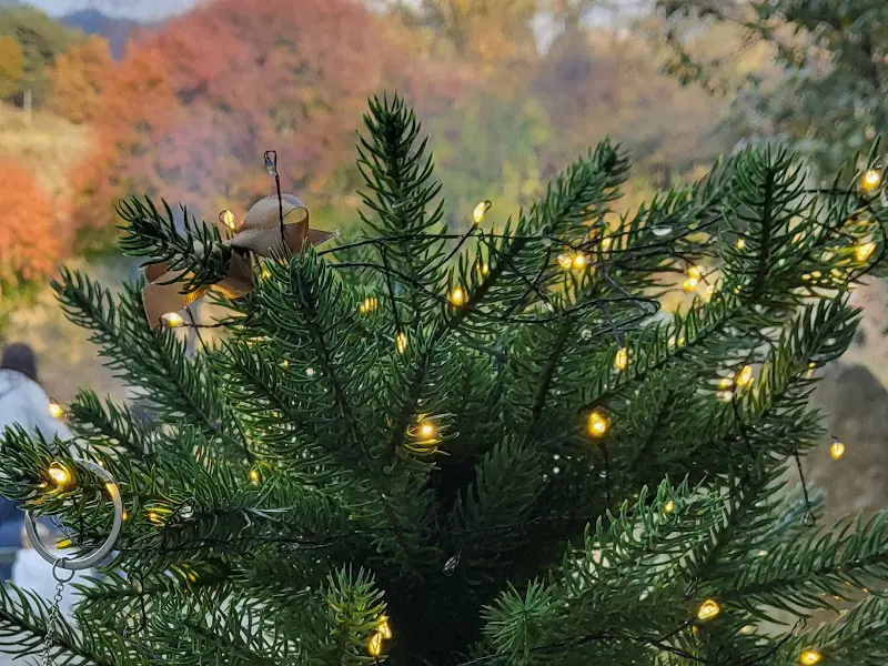 카페 내부 장식