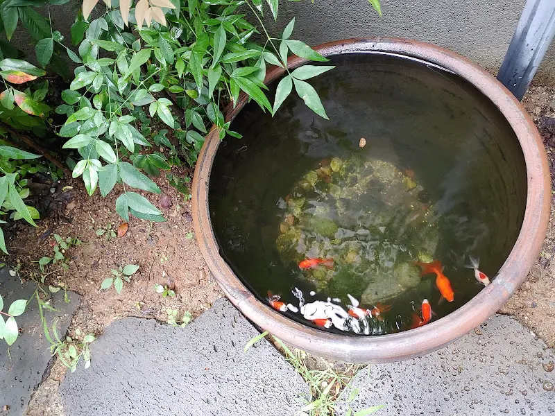 룸베르의 작은 연못