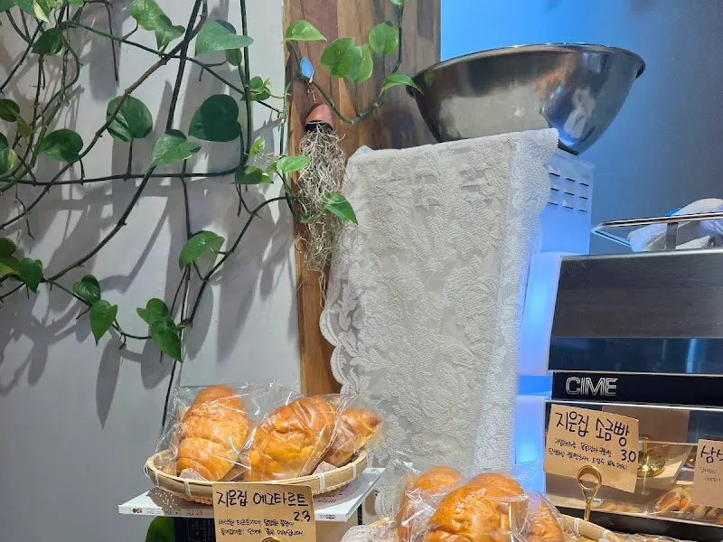 진열대 옆에 놓인 화분과 소품들