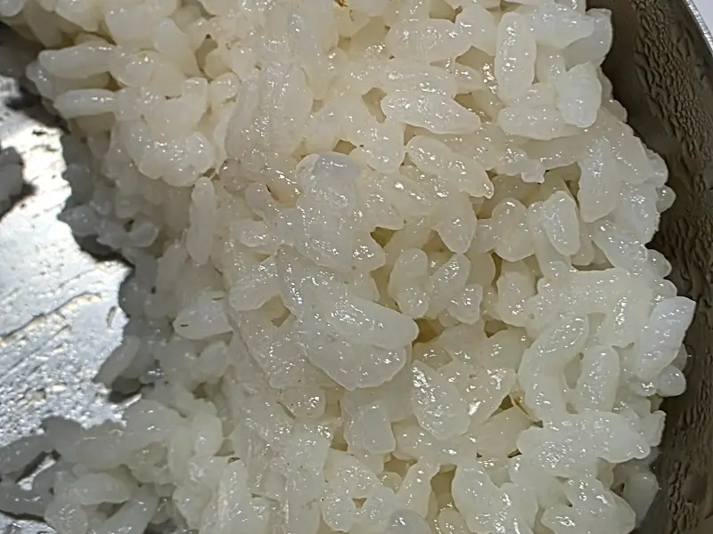 윤기가 흐르는 밥