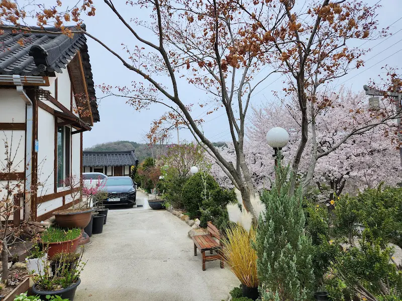 정갈하게 꾸며진 식당 외부 정원의 모습