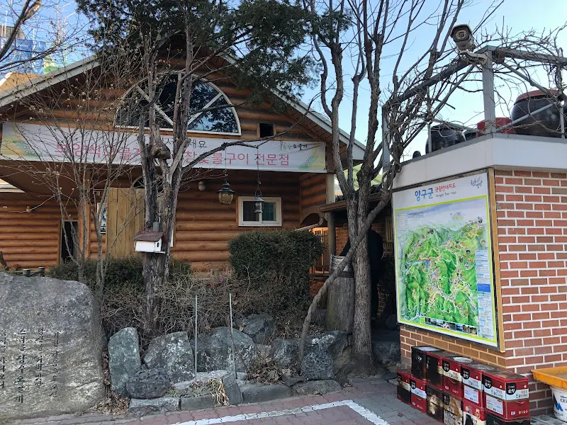 장수 오골계 외관