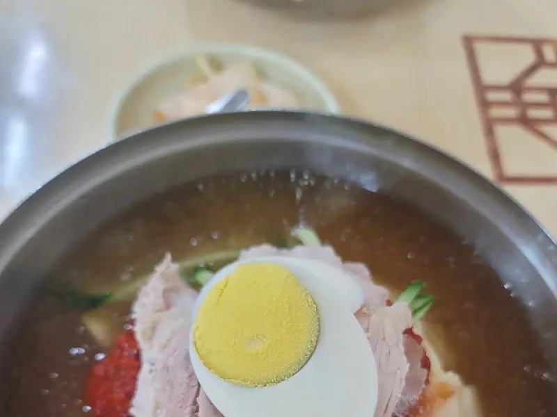 물밀면의 깔끔한 모습