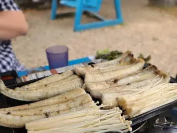 석양 아래 숭어 한 점, 강화도 바다 내음 가득한 보광호횟집에서 맛보는 인생 물회와 낭만적인 추억여행