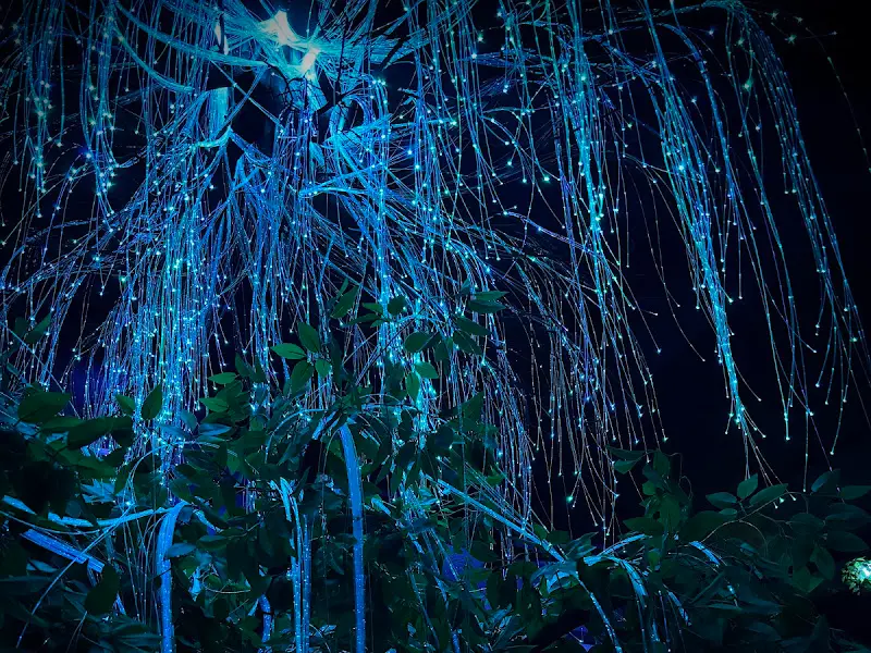 밤수정의 푸른 조명