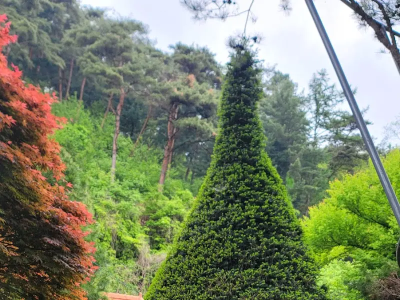 다채로운 색깔의 나무들이 어우러진 정원